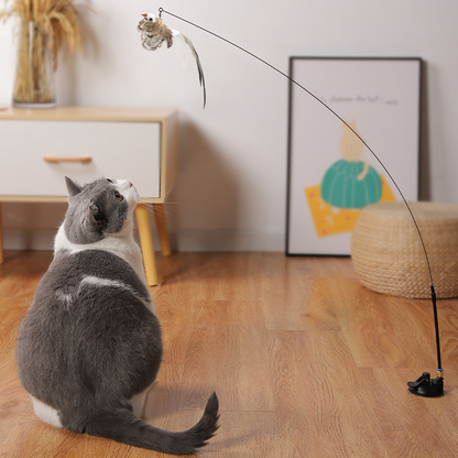 Bird interactive Cat Toy